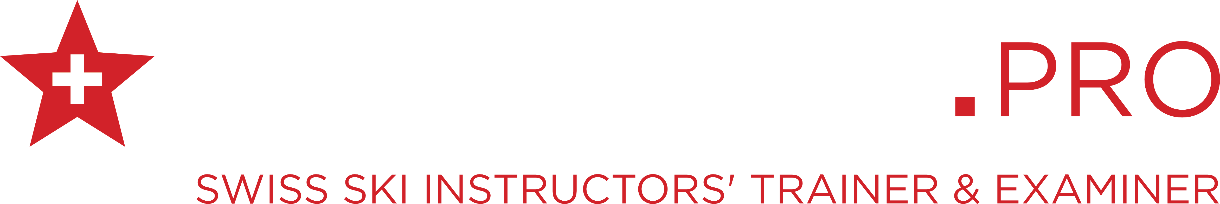 SWISS SNOW PRO - Verbier ski guide